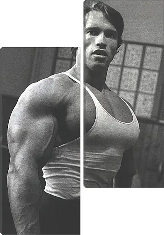 Арнольд Шварценеггер (Arnold Schwarzenegger) Арнольд Шварценеггер (Arnold Schwarzenegger)Личности<br>Модульная картина из 2 частей . Любые размеры и конфигурации на выбор. Материал печати: натуральный холст.<br>Размер: 63x90 см., 84x120 см., 105x150 см.;