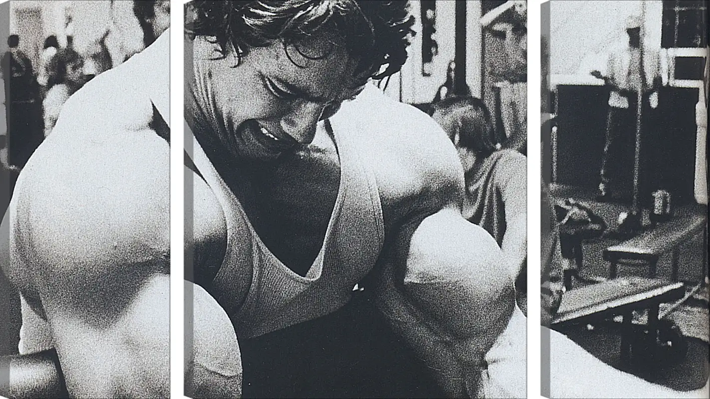 Арнольд Шварценеггер (Arnold Schwarzenegger) Арнольд Шварценеггер (Arnold Schwarzenegger)Личности<br>Модульная картина из 3 частей . Любые размеры и конфигурации на выбор. Материал печати: натуральный холст.<br>Размер: 90x51 см., 120x67 см., 150x84 см.;