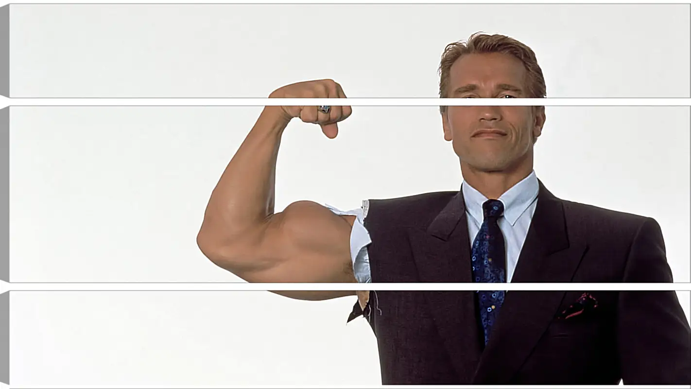 Арнольд Шварценеггер (Arnold Schwarzenegger) Арнольд Шварценеггер (Arnold Schwarzenegger)Личности<br>Модульная картина из 3 частей . Любые размеры и конфигурации на выбор. Материал печати: натуральный холст.<br>Размер: 90x51 см., 120x67 см., 150x84 см.;
