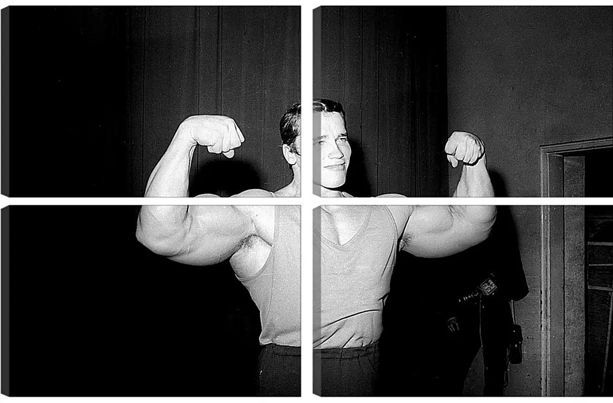 Арнольд Шварценеггер (Arnold Schwarzenegger) Арнольд Шварценеггер (Arnold Schwarzenegger)Личности<br>Модульная картина из 4 частей . Любые размеры и конфигурации на выбор. Материал печати: натуральный холст.<br>Размер: 90x59 см., 120x79 см., 150x99 см.;