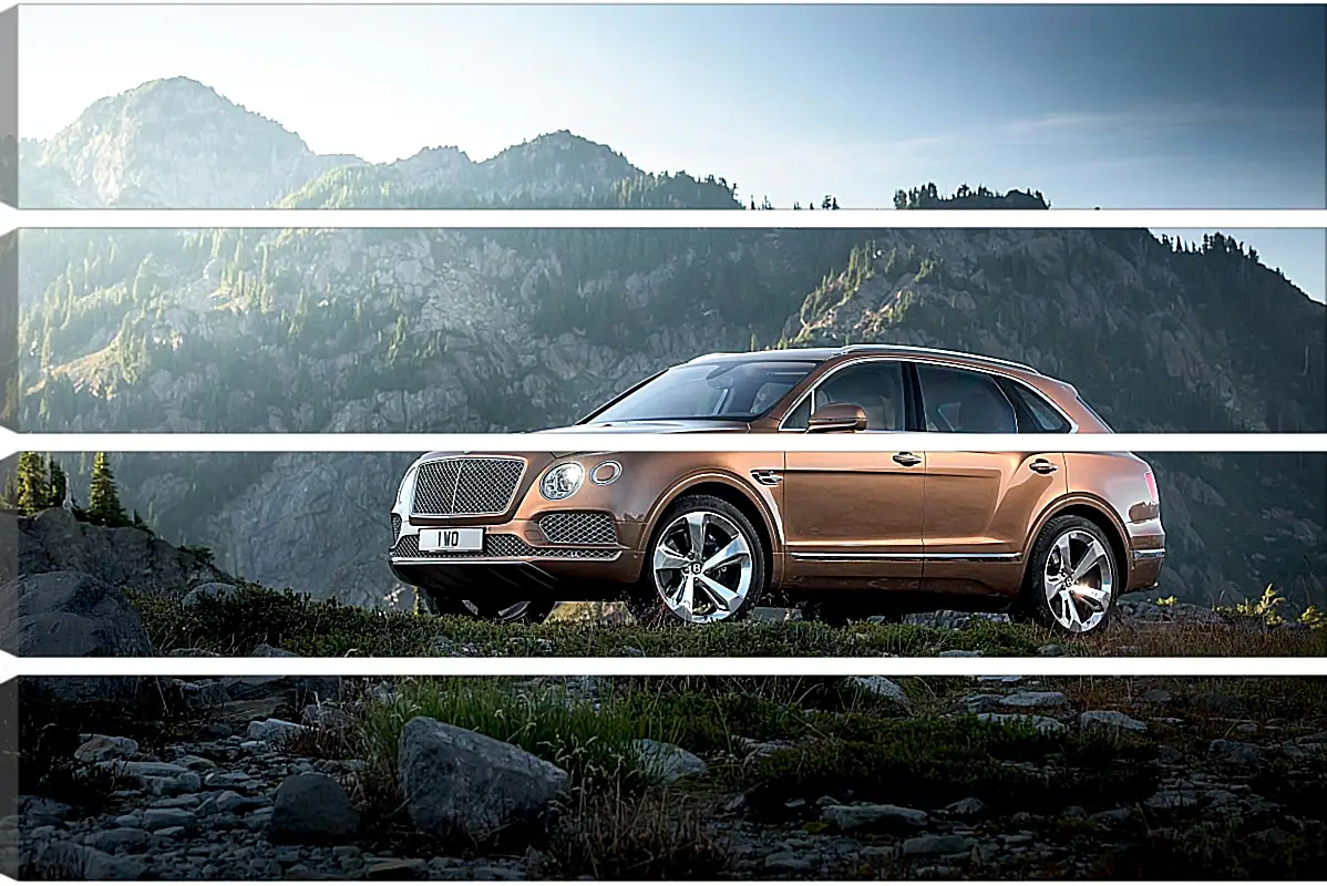 Бентли (Bentley) Бентли (Bentley)Природа<br>Модульная картина из 4 частей . Любые размеры и конфигурации на выбор. Материал печати: натуральный холст.<br>Размер: 90x60 см., 120x80 см., 150x100 см.;