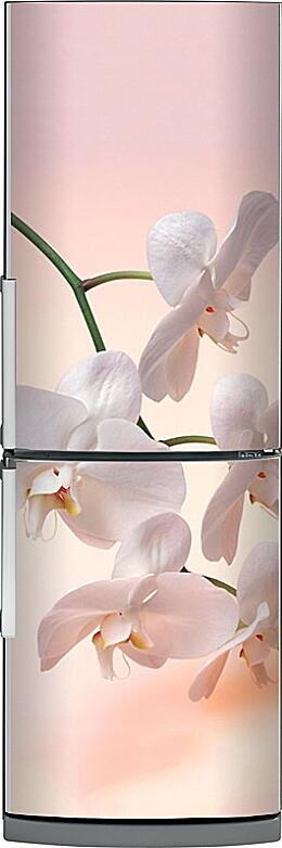 Магнитная панель на холодильник - Орхидеи