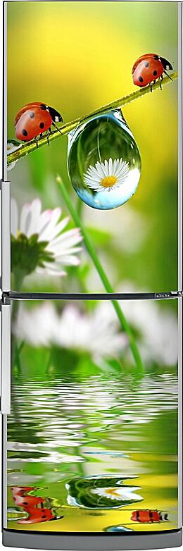 Магнитная панель на холодильник - Божьи коровки и капелька воды