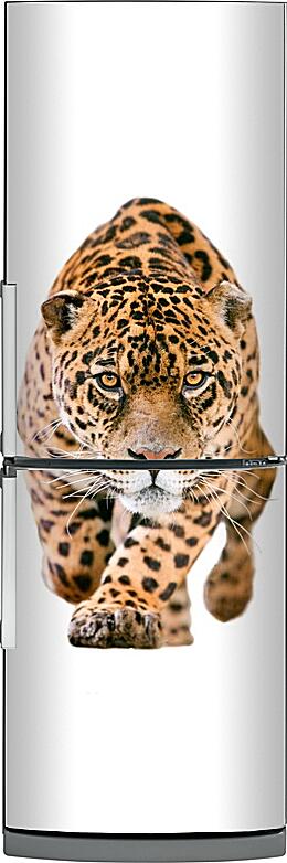 Магнитная панель на холодильник - Леопард