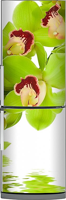 Магнитная панель на холодильник - Орхидеи над водой