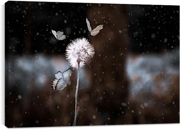 Постер на подрамнике - Белый одуванчик в окружении бабочек