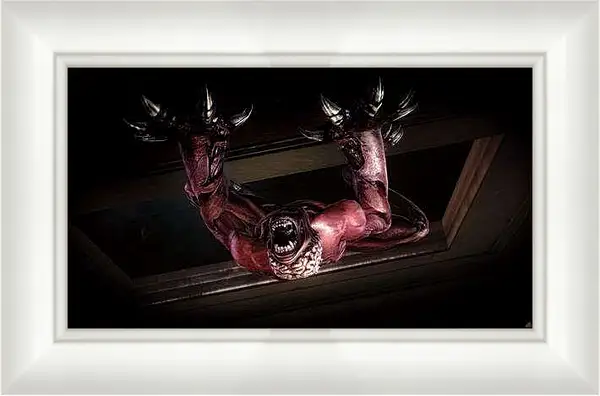Картина в раме - Resident Evil: Operation Raccoon City
