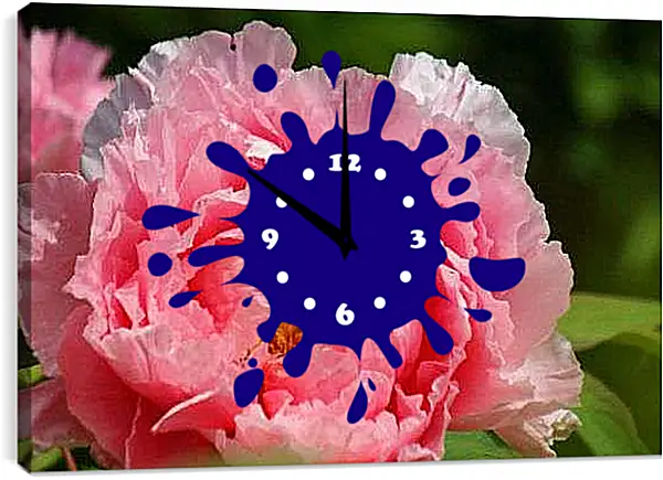 Часы картина - Красивый пион