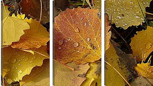 Модульная картина - Осень