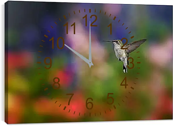 Часы картина - Колибри
