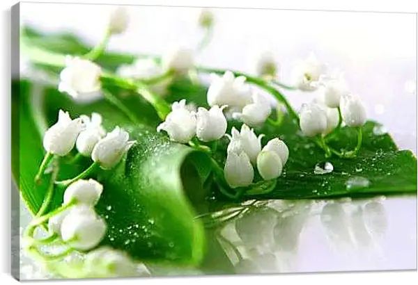 Постер на подрамнике - Капли