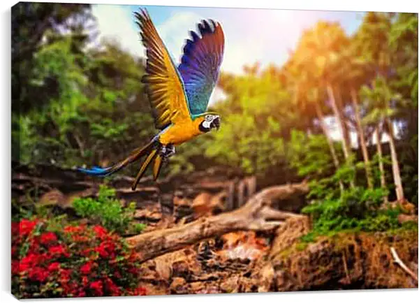 Постер на подрамнике - Попугай в полёте