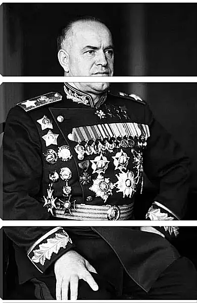 Модульная картина - Георгий Константинович Жуков