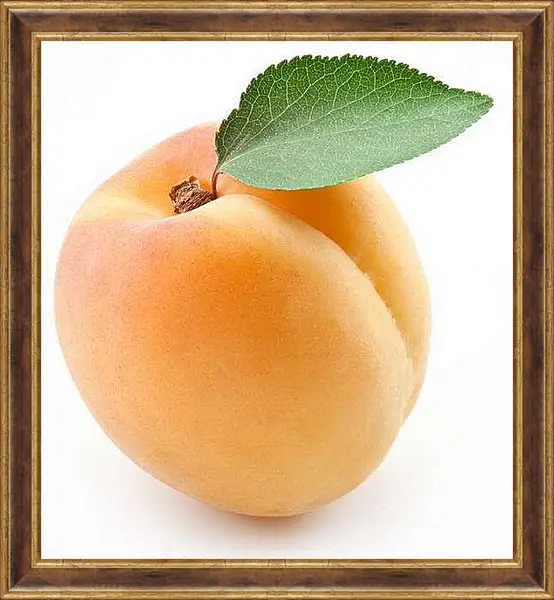 Картина в раме - Абрикос. Абрикосовое Настроение.