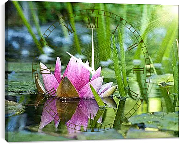 Часы картина - Кувшинка под солнцем