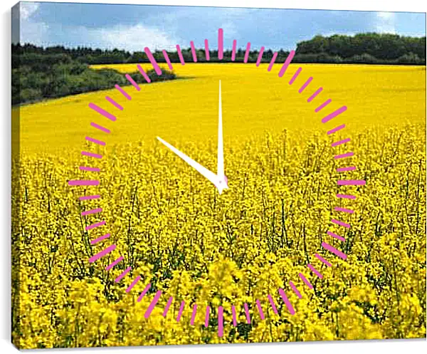 Часы картина - Желтое поле