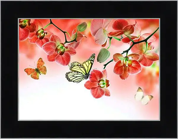 Картина в раме - Бабочки и красные орхидеи