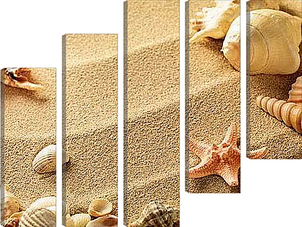 Модульная картина - Ракушки на пляже