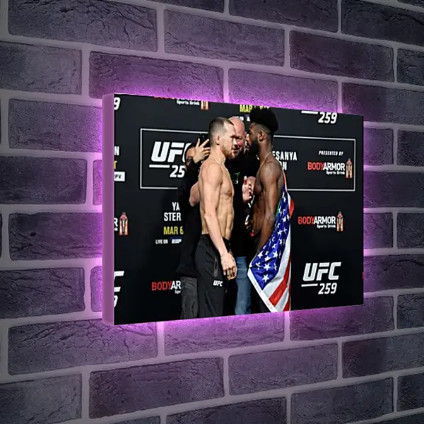Лайтбокс световая панель - UFC. MMA. Пётр Ян