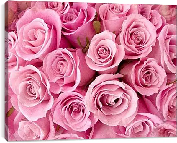 Постер на подрамнике - Букет розовых роз