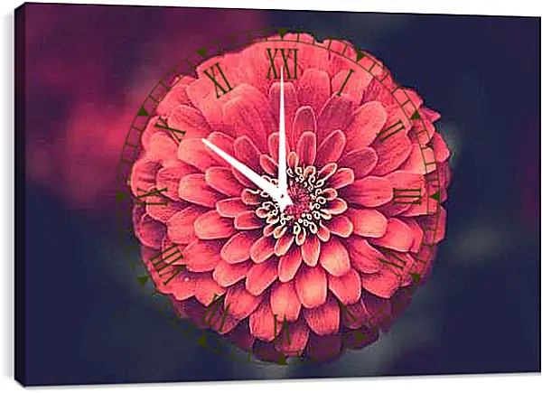 Часы картина - Коралловый георгин