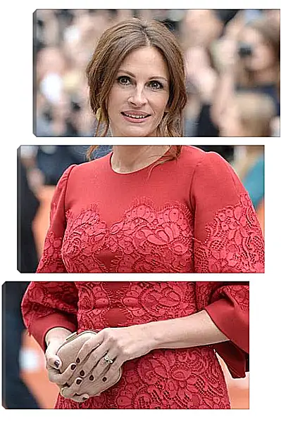 Модульная картина - Джулия Робертс. Julia Roberts
