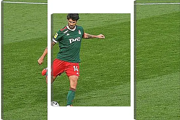 Модульная картина - Ведран Чорлука. ФК Локомотив Москва. FC Lokomotiv Moscow