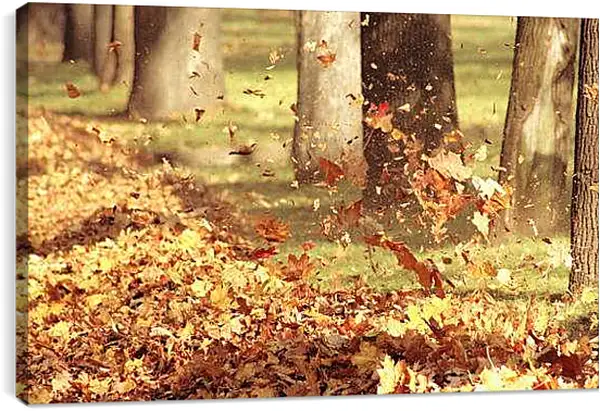 Постер на подрамнике - Осень