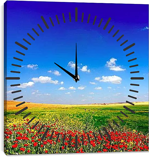 Часы картина - Поле цветов и небо