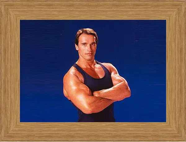 Картина в раме - Арнольд Шварценеггер (Arnold Schwarzenegger)