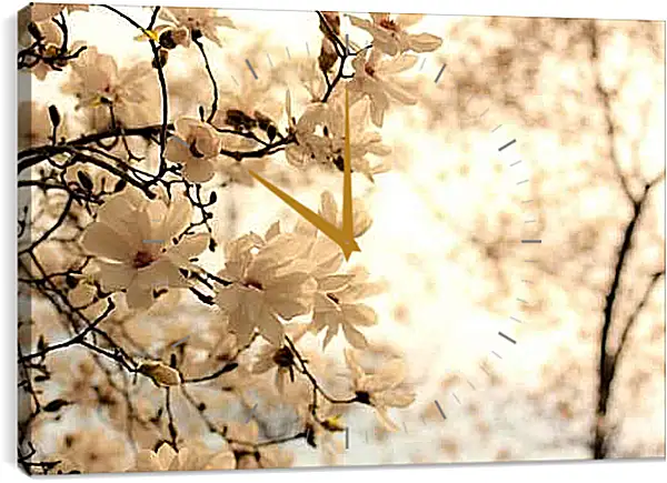 Часы картина - Цветущая магнолия