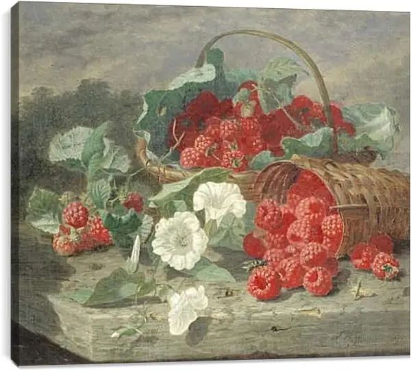 Постер на подрамнике - Натюрморт. Стэннард Элоиза Гарриет