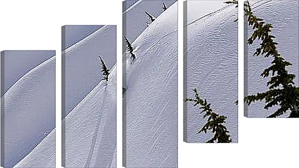 Модульная картина - Спуск по белому снегу