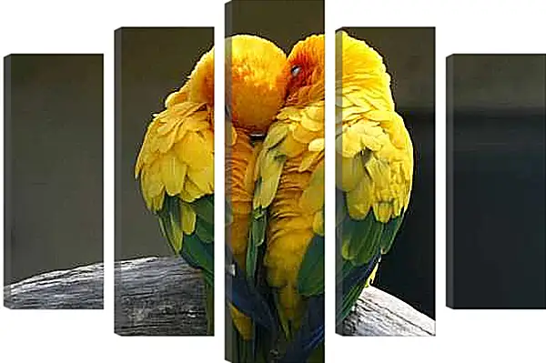 Модульная картина - Пара жёлтых попугаев
