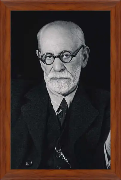 Картина в раме - Зигмунд Фрейд