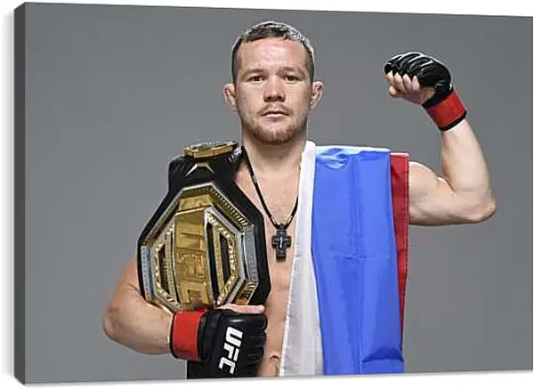 Постер на подрамнике - UFC. MMA. Пётр Ян