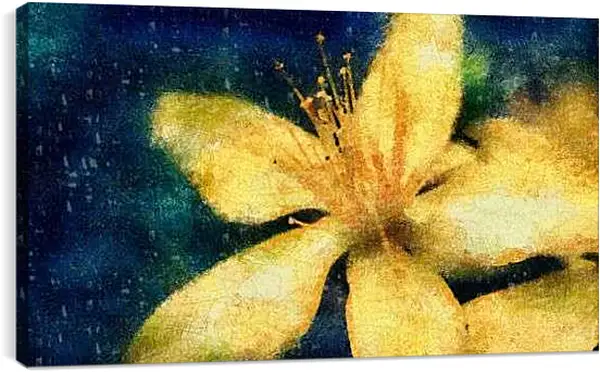 Постер на подрамнике - Желтая лилия