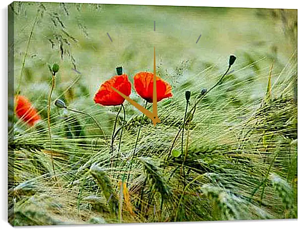 Часы картина - Два мака