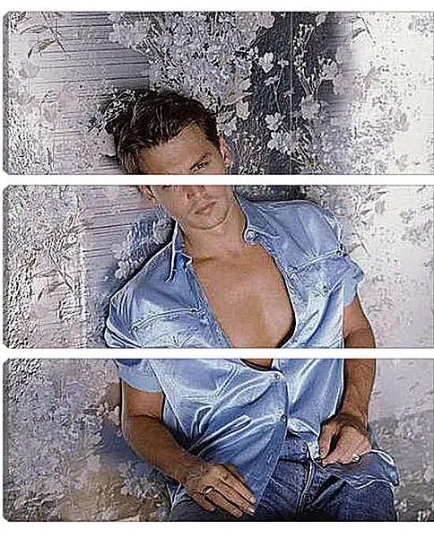 Модульная картина - Johnny Depp - Джонни Депп
