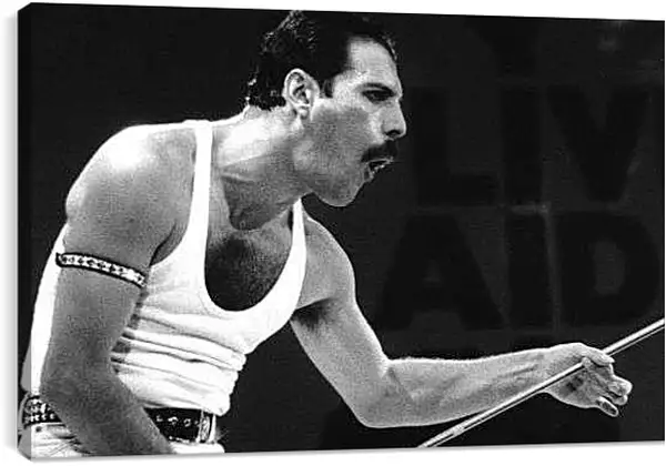 Постер на подрамнике - Энергетика Фреди Меркьюри