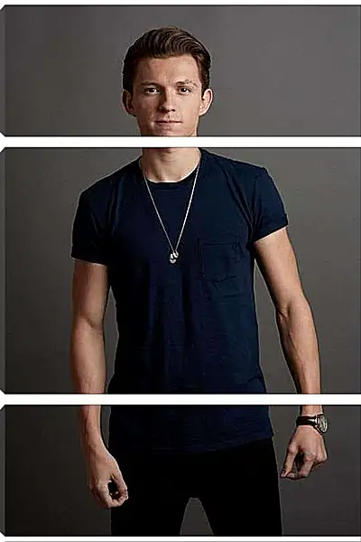 Модульная картина - Том Холланд. Tom Holland