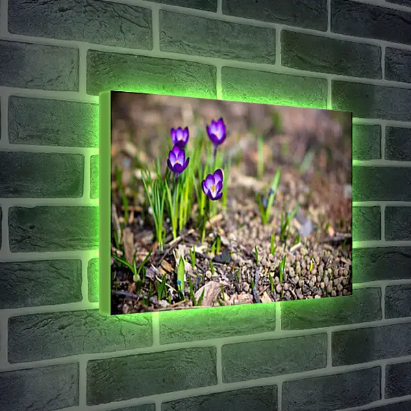 Лайтбокс световая панель - Весна