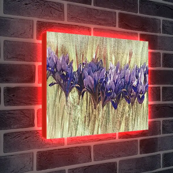 Лайтбокс световая панель - Луковичные ирисы
