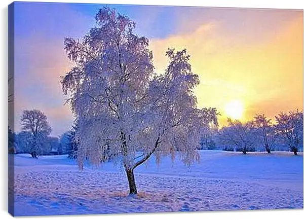 Постер на подрамнике - Замёрзшее одинокое дерево