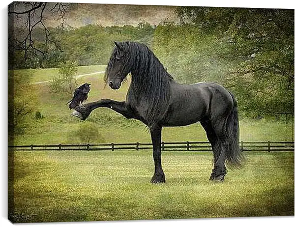 Постер на подрамнике - Вороной конь и ворон