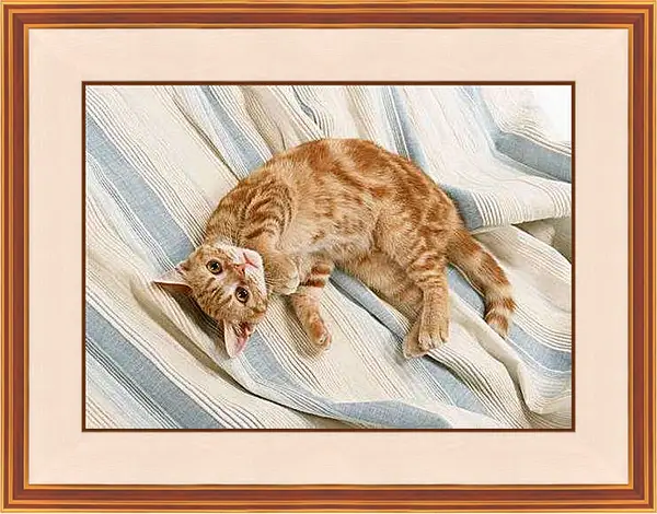 Картина в раме - Рыжий кот