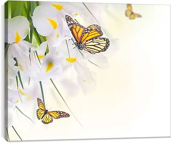 Постер на подрамнике - Бабочки на белом цветке