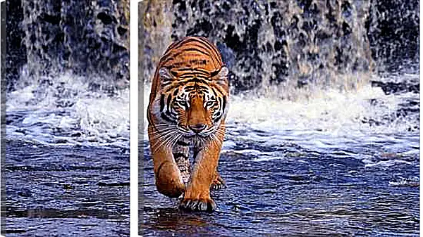 Модульная картина - Коричневый тигр. Водопад