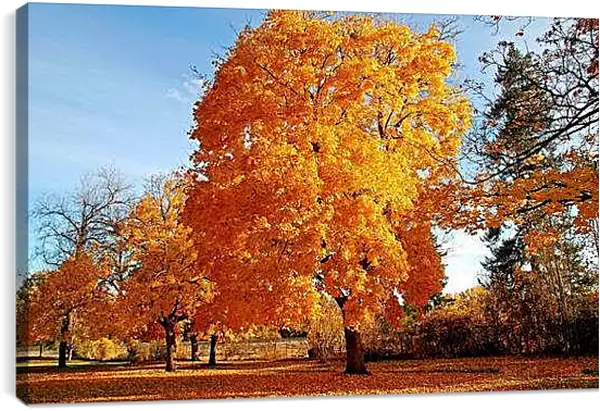 Постер на подрамнике - Осень