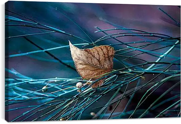 Постер на подрамнике - Осень